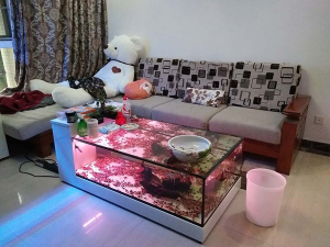 客廳茶幾魚缸定制項(xiàng)目