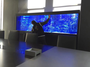 會(huì)議室海水缸定制清洗