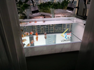 陽臺(tái)定制小型金魚缸——龍威水族